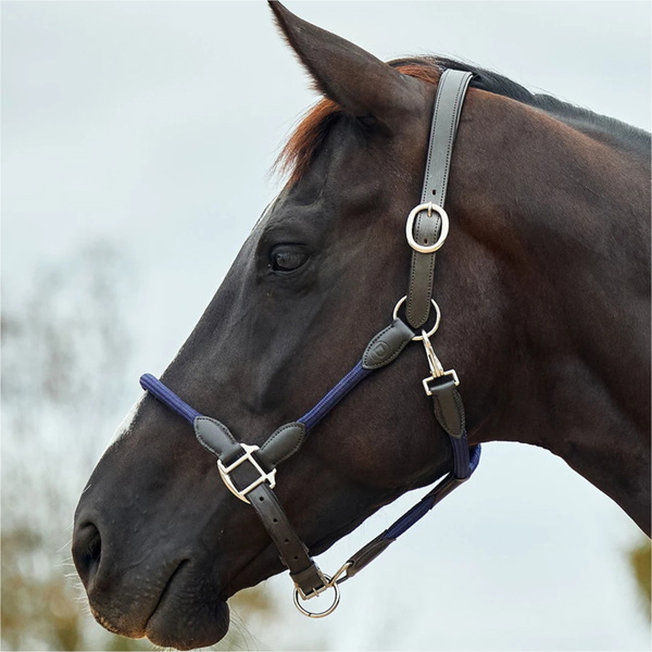 2026 Dublin Leather Rope Headcollar 1031533 - Navy / Brown